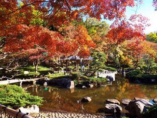 特集 季節のお花 Mirai ちょっと先のミライを探しに行こう 特集 季節のお花 Mirai ちょっと先のミライを探しに行こう