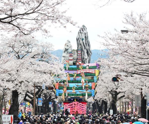 特集 季節のお花 Mirai ちょっと先のミライを探しに行こう